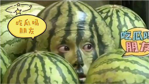 娱乐吃瓜地,吃瓜群众背后的故事